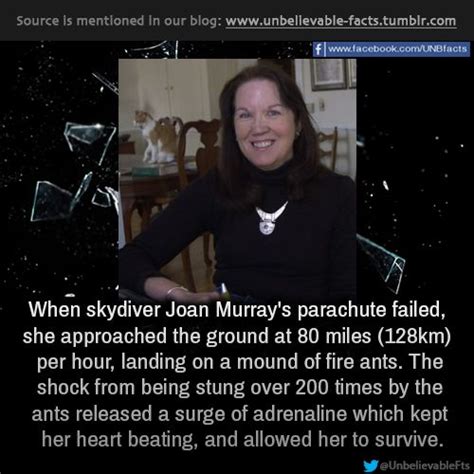 joan murray parachute 